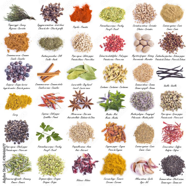 Hierbas y Especias para una Dieta Equilibrada