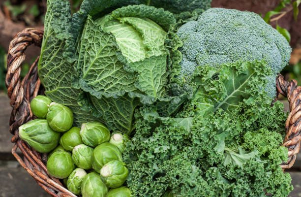 Vegetales Crucìferos y salud cardiovascular